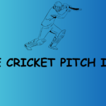 If the cricket pitch is wet